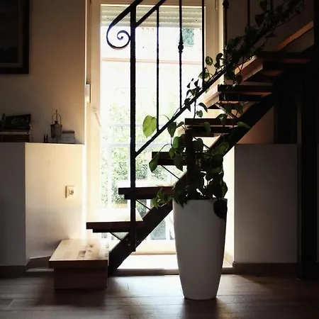 Andreja, Center Apartman