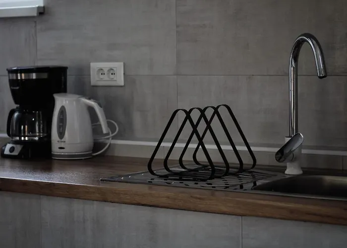 Apartment Andreja, Center *