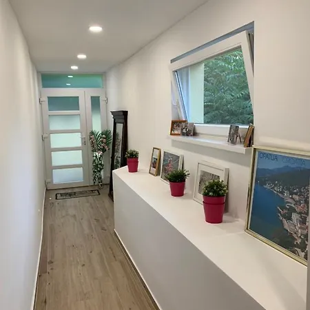 Daire Andreja, Center